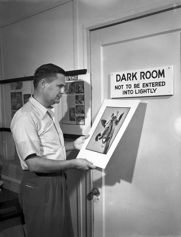 Joe Steinmetz looking at his photograph of a giraffe near the darkroom at his studio in Sarasota, Florida.