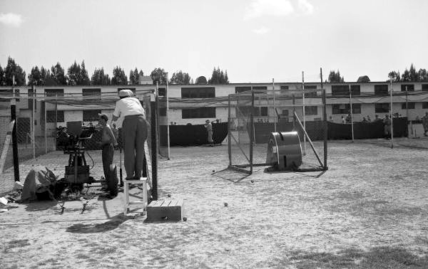 Scene from the Brooklyn Dodgers batting practice in Vero Beach, Florida.