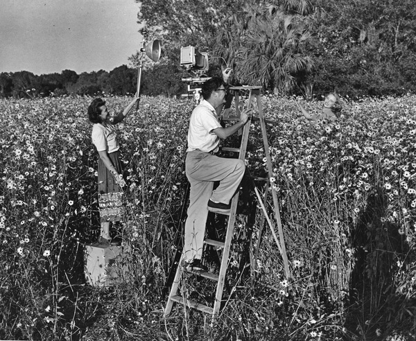 Sarasota photographer Joe Steinmetz and his wife photographing their daughter Lois Duncan in a daisy field in Taos, New Mexico.