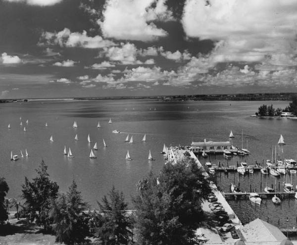 Bird's eye view overlooking the municipal pier and Sarasota Bay from the top of Orange Blossom Hotel.