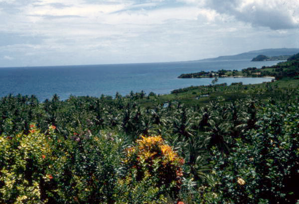 Scenic view in Nassau, Bahamas.