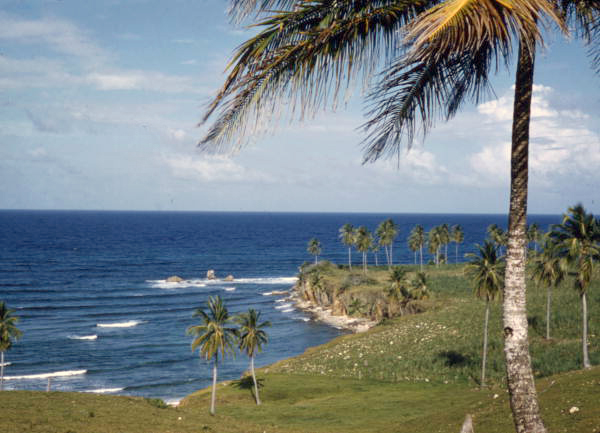 Scenic view in Nassau, Bahamas.
