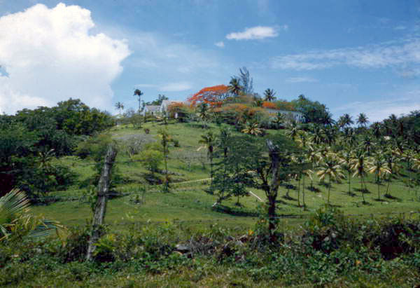 Scenic view in Nassau, Bahamas.