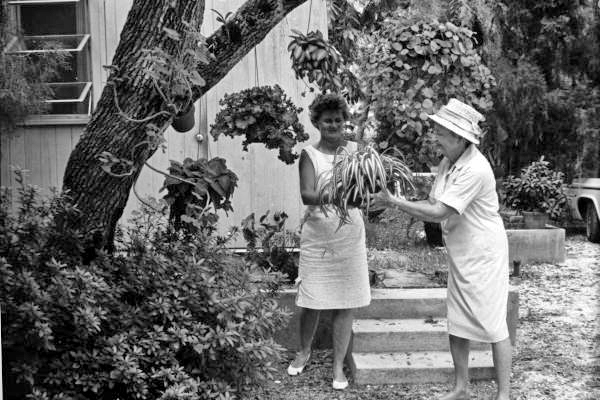 View showing women hanging plants in Sarasota, Florida.