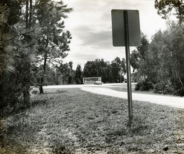 Road to Marco, Florida.