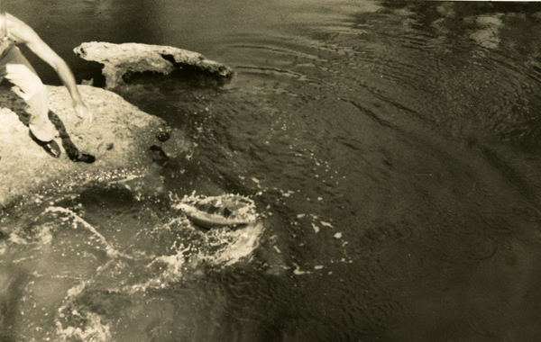 Koreshan bringing a small tarpon to shore in the Estero River.