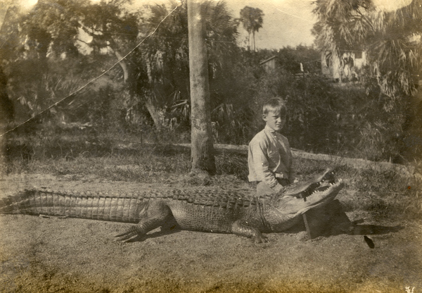 Koreshan Julius Koester sitting next to an alligator in Estero, Florida.
