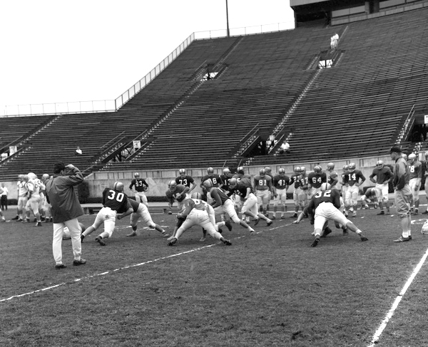 Coach Peterson, back to camera, watching FSU football scrimmage in Tallahassee.