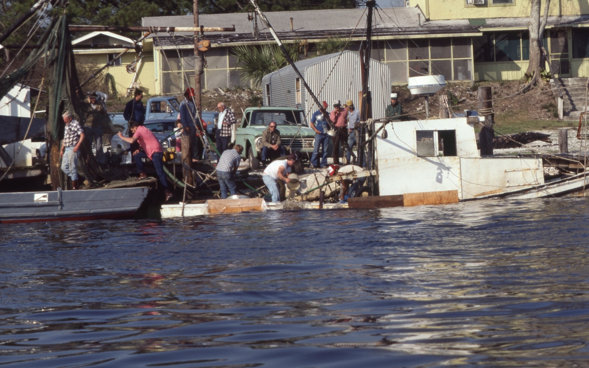Men baling water out of a sunken boat in Carrabelle, Florida.