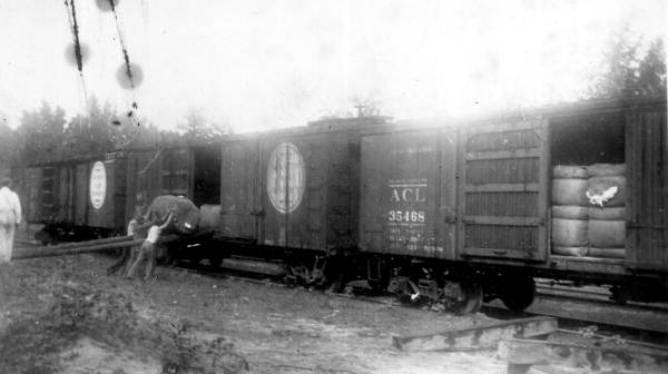Robert Benjamin Roberts and his associates loading bales of Sea Island cotton into a boxcar - Worthington Springs, Florida