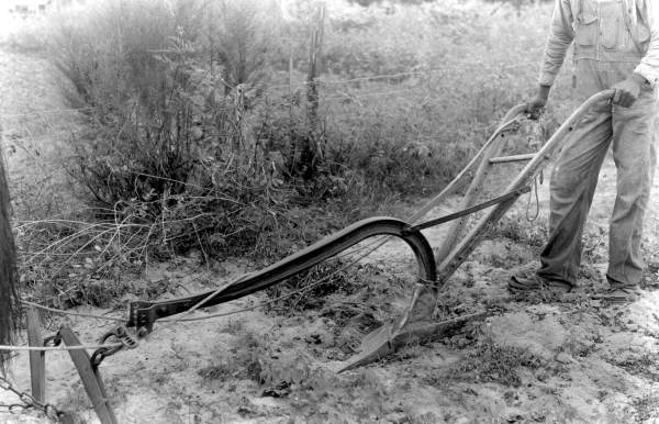 Man plowing in a field