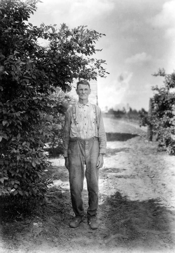 Standing in the blueberry patch at M.A. Sapp Grove - DeFuniak Springs