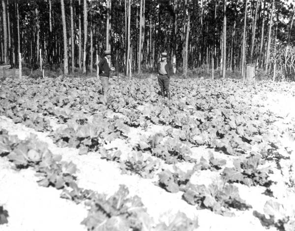 Two men talking in the field
