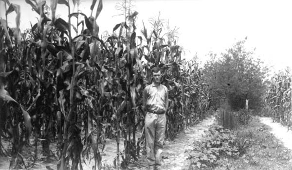 Leslie Raulerson in a corn field - Waldo, Florida