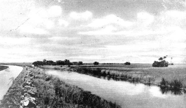 The Florida Everglades - scene along the Tamiami Trail