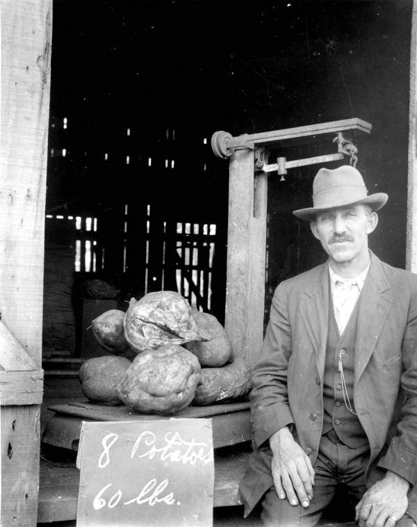 Man sitting beside the potatoes.