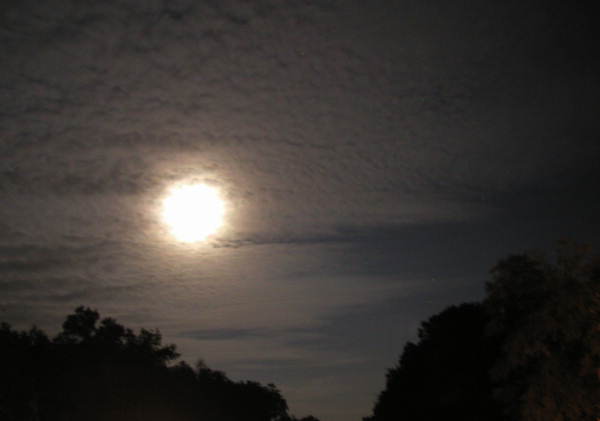 Moon over Melrose during Christmas night.