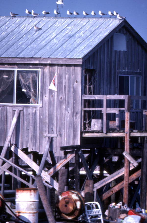 Close-up view of a building in Cedar Key, Florida.