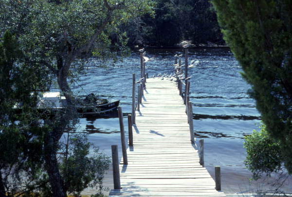 View of a dock at Cedar Key, Florida.