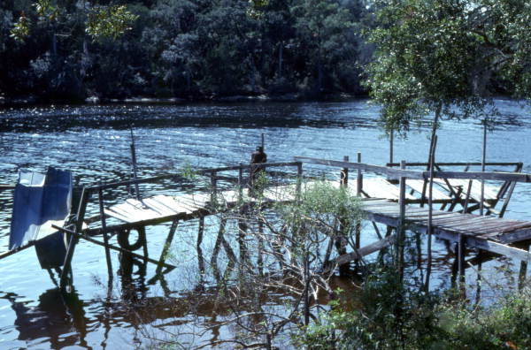 View showing a dock at Cedar Key, Florida.