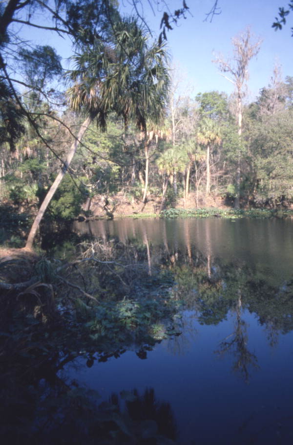 Scenic view in Clewiston, Florida.