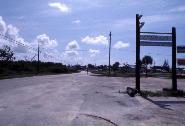 View of a road in Everglades City, Florida.