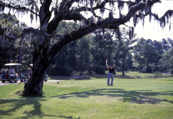 Golfer teeing off at Amelia Island, Florida.