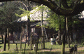 Edgar Langford Jr. farmhouse in Newberry.