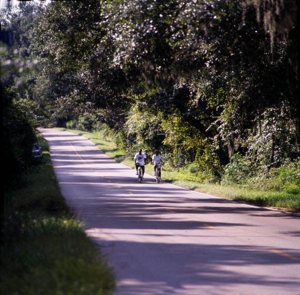 View showing people biking in Tallahassee, Florida.