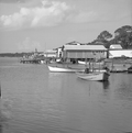 View showing oyster boats at Eastpoint, Florida.