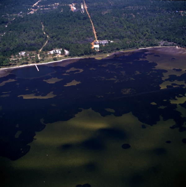 Aerial view overlooking part of the coast at Pensacola, Florida.