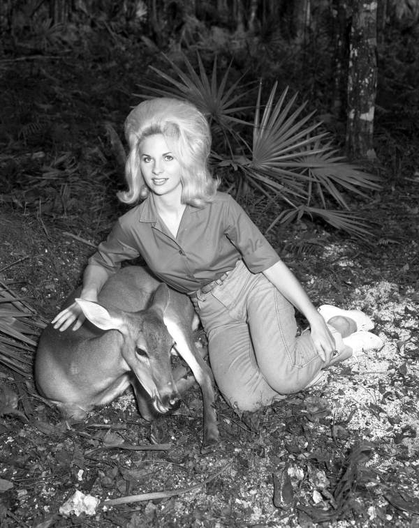 Unidentified woman petting a deer at Homosassa Springs.