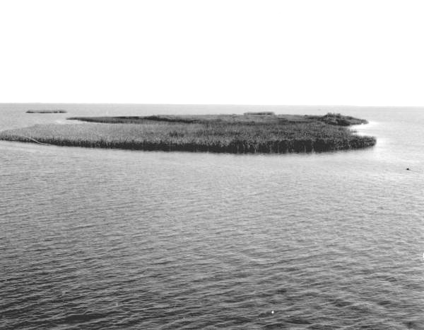 Apalachicola river.