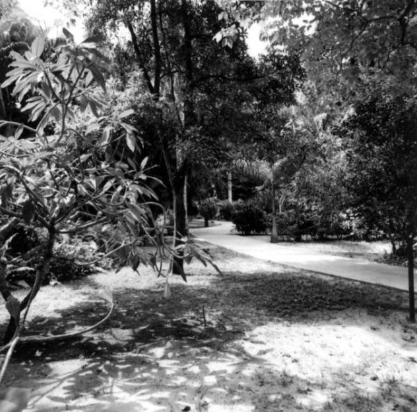 Garden walk - Fort Myers, Florida