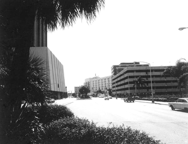 Tampa street scene.