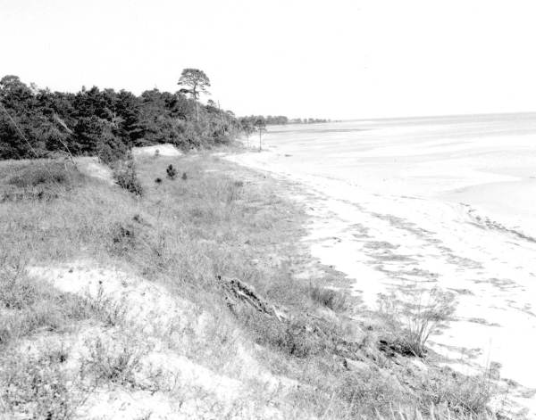 Yent Bayou of Winter Haven beach