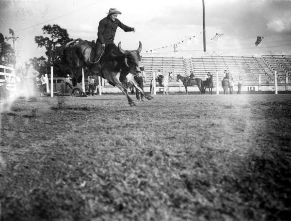 Lou Quirk rides a wild bull - Lakeland, Florida