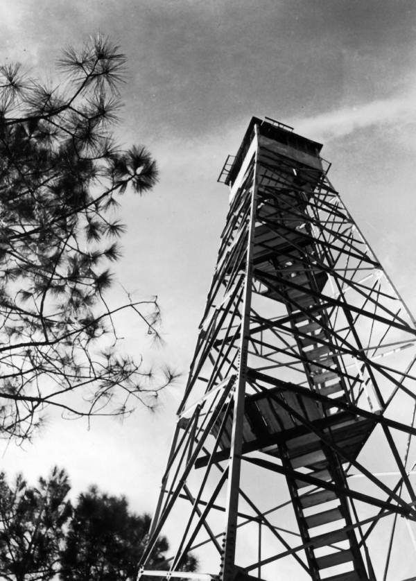 Watchtower rising above the new growth of trees at Tim-Buck-Too - Perry, Florida