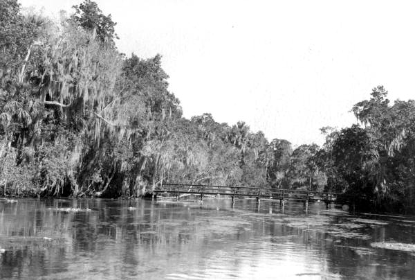 Scene at the head of Homosassa River - Homosassa Springs, Florida .