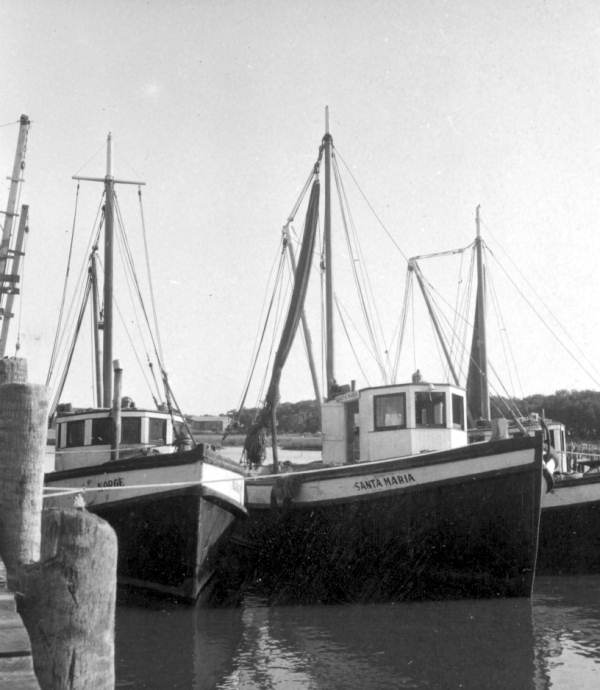 Shrimp boat fleet - Saint Augustine, Florida