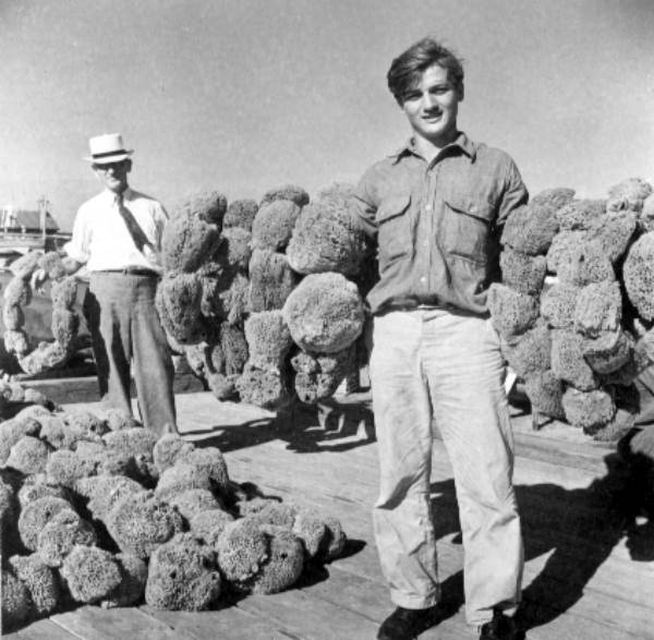 Key West sponges