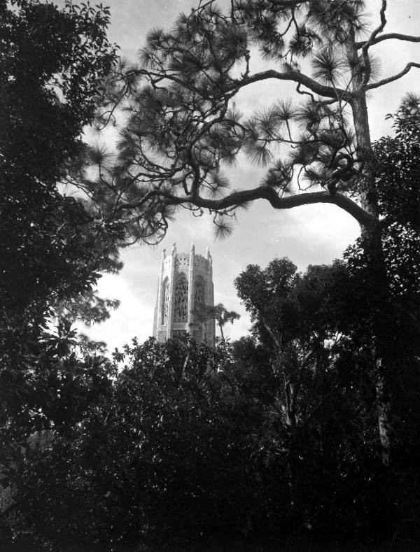 View of Bok Tower - Lake Wales, Florida