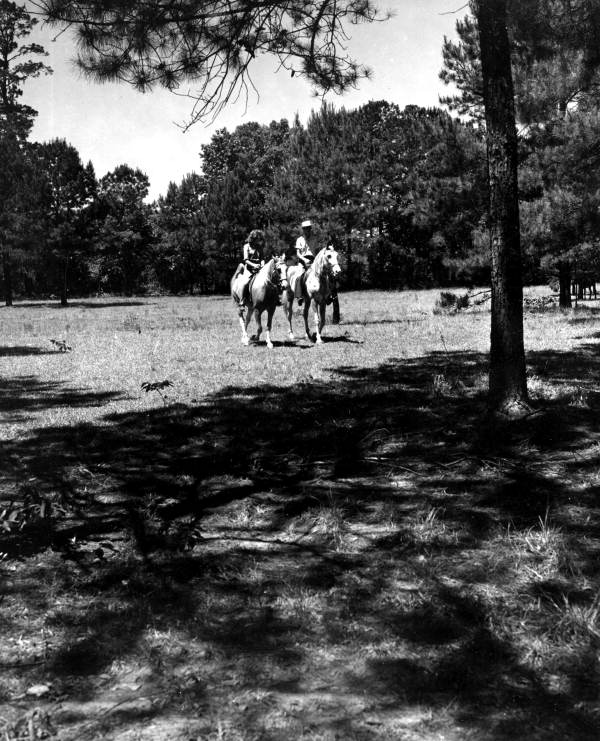 People riding horses in Tallahassee