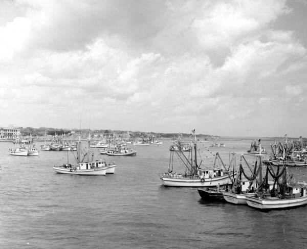 Shrimp fleet in Matanzas Bay - Saint Augustine, Florida