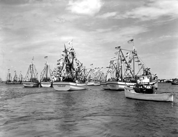 Shrimp boat fleet - Saint Augustine, Florida