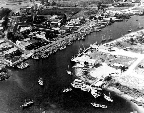 Aerial view of docks with sponge boat fleet - Tarpon Springs, Florida