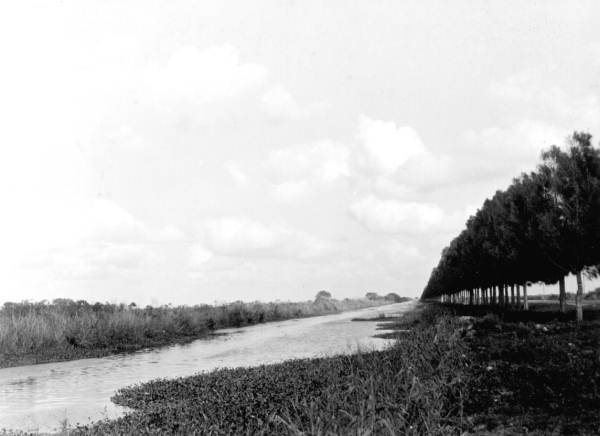 Drainage canal - Everglades, Florida