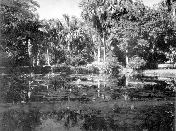 View of lake and trees - Vero Beach, Florida .