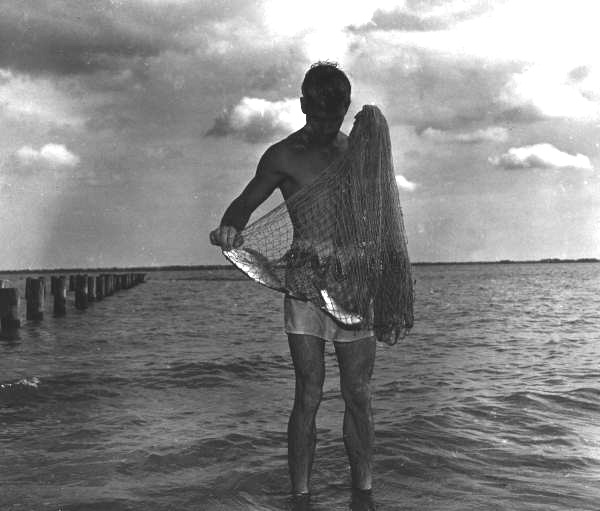 Harvey Allen snared his lunch using a circular shrimp net - Apalachicola Region, Florida