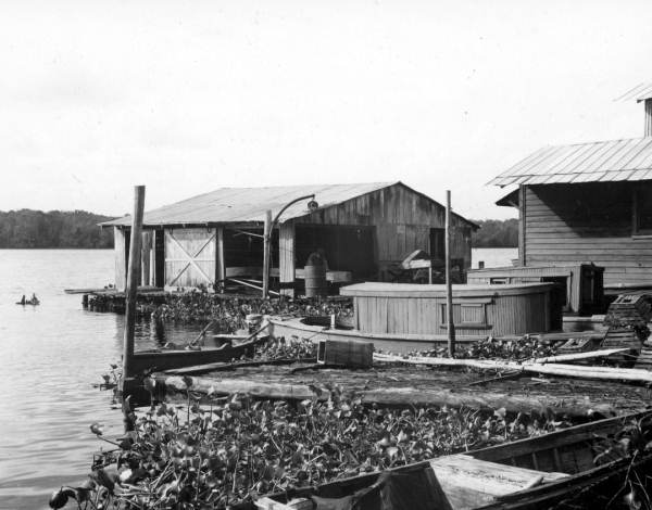 Douglas Fisheries - Welaka, Florida.
